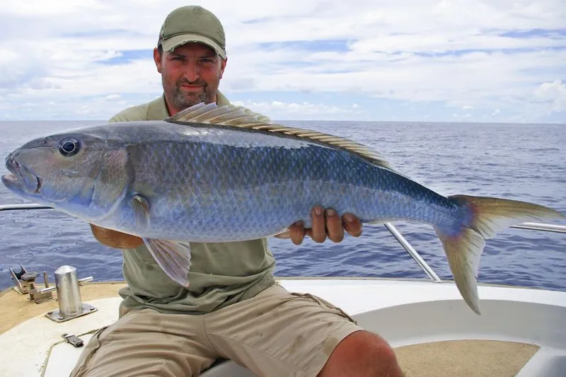  Sea fishing in the Algarve